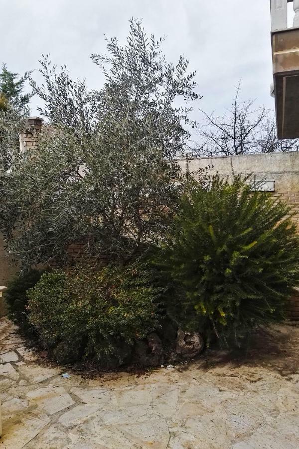 Villa Deluxe Sight Ioannina Værelse billede